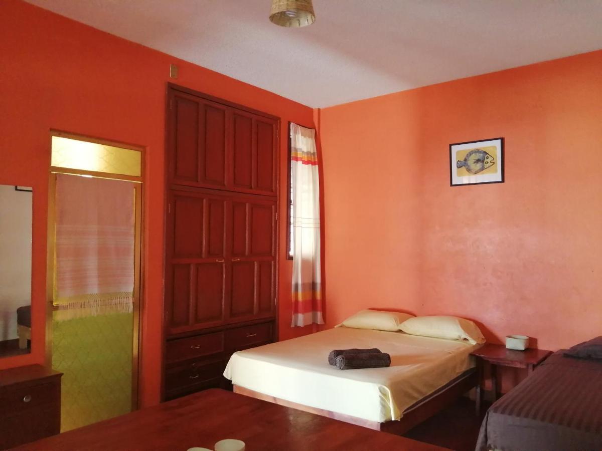 Hostal Alegria De Oaxaca Exterior foto